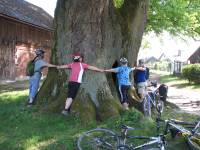 památná lípa v obci Kotel